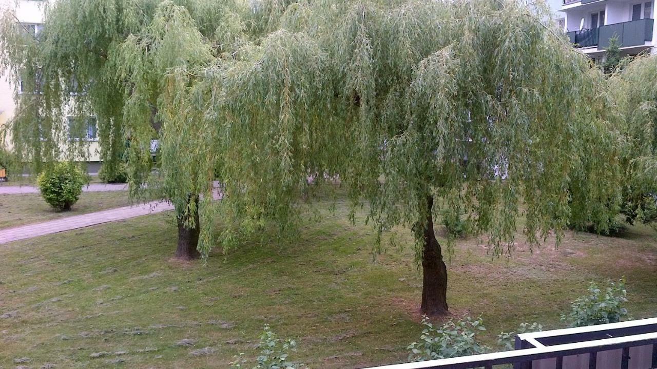 Zielona Herbowa Lublin Bagian luar foto